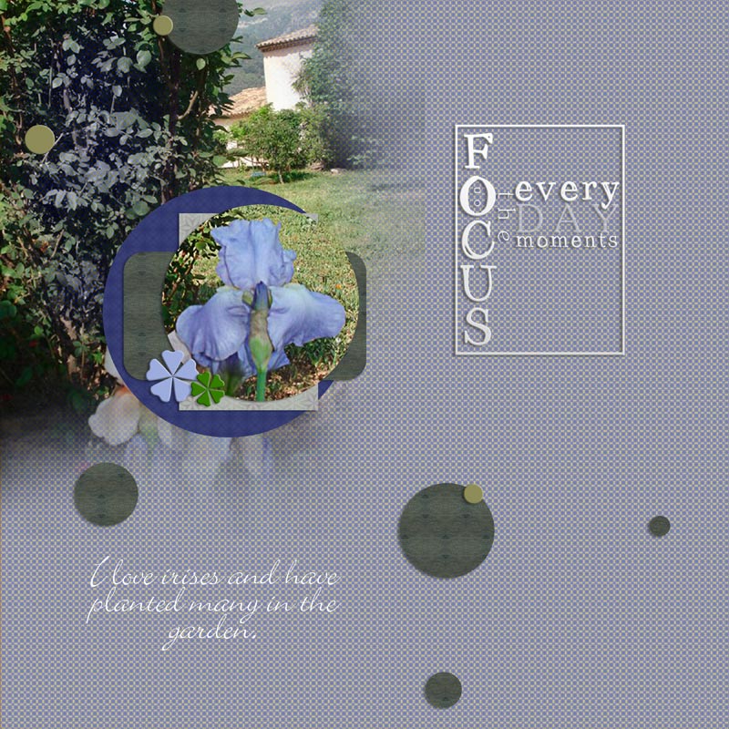 Irises