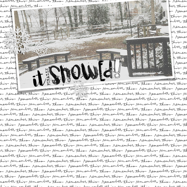 It Finally Snowed! - MOC Jan. 17