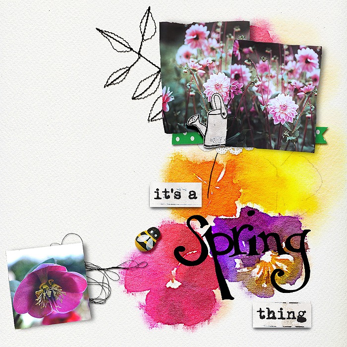 It's A Spring Thing