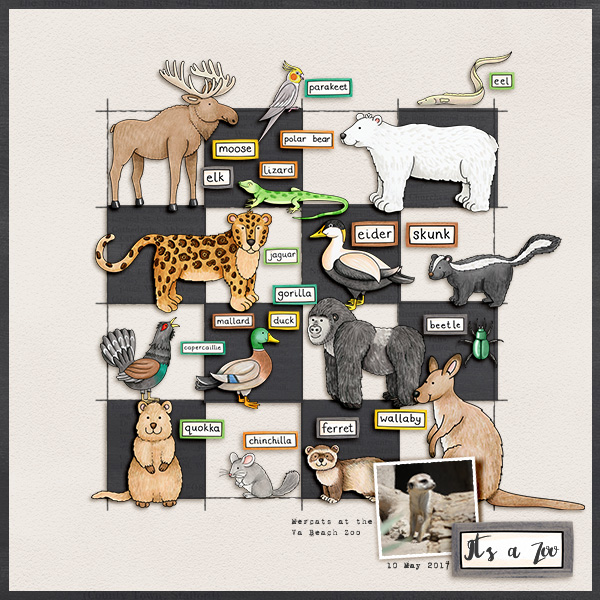 It's a Zoo