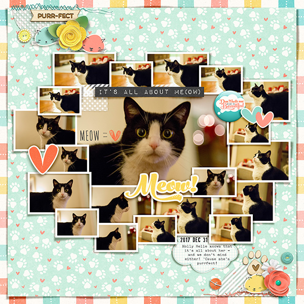 It's All About Me(ow) - January 7: Collage-Large Number of Photos