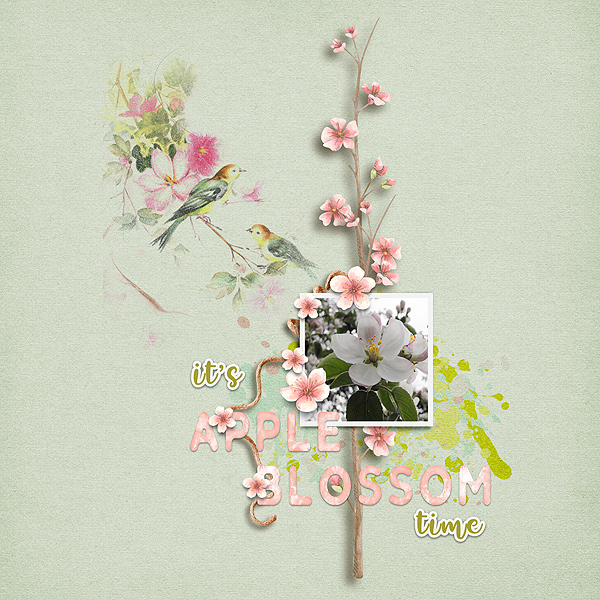 it's Apple Blossom time