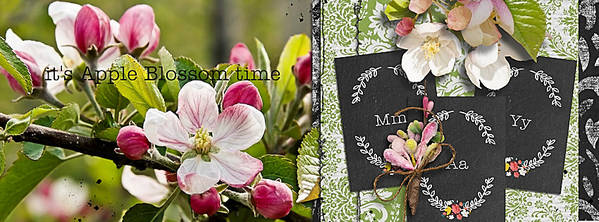 it's apple blossom time