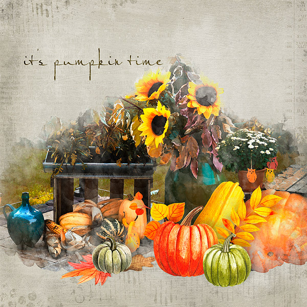 it's pumpkin time