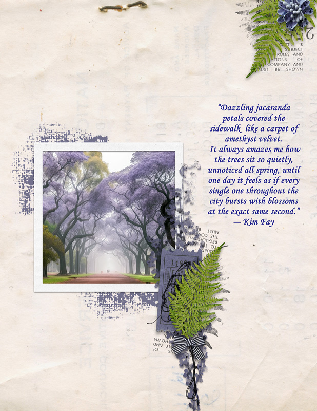 Jacaranda