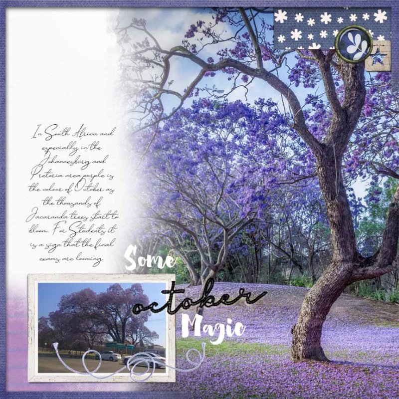 JacarandaTime