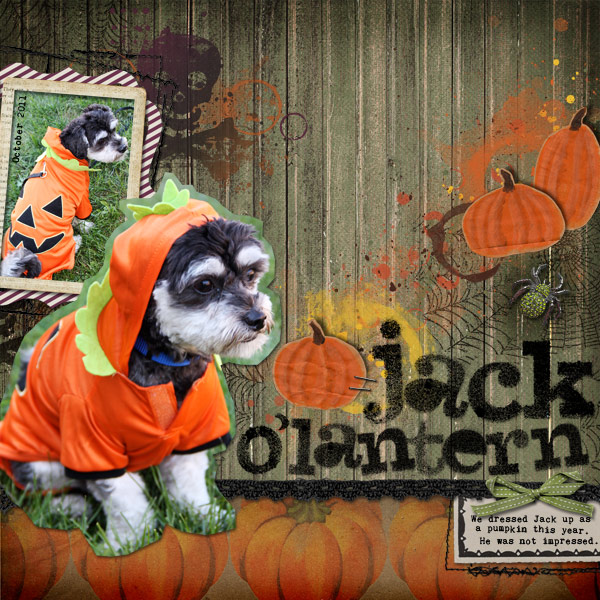 Jack O'Lantern