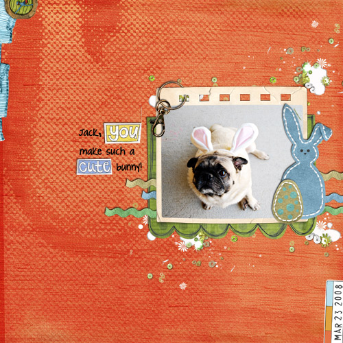 jack the bunny