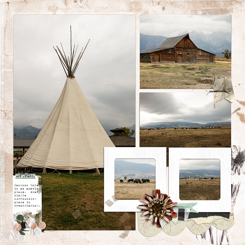 Jackson Hole Sidetrip