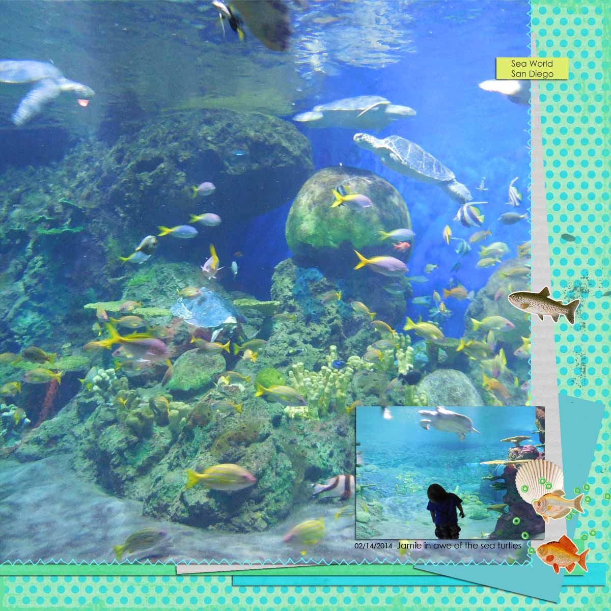 Jamie and the sea turtles