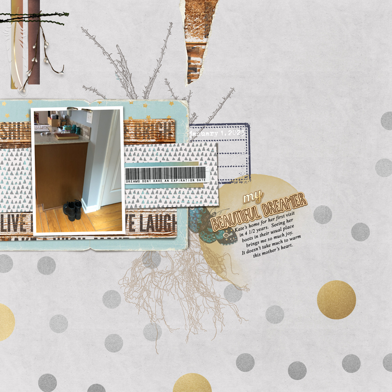Jan-1---Blind-Scrap---My-Beautiful-Dreamer