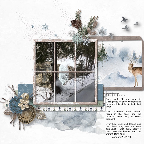 JAN 1 BLIND SCRAP