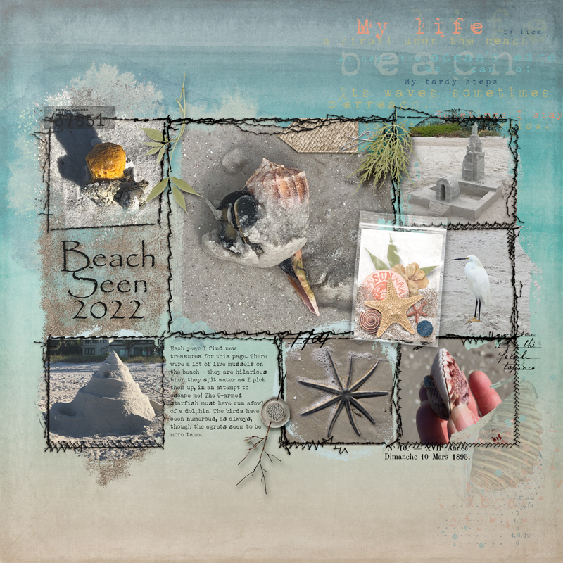 Jan-12---Happy-Page---Beach-Seen-2022
