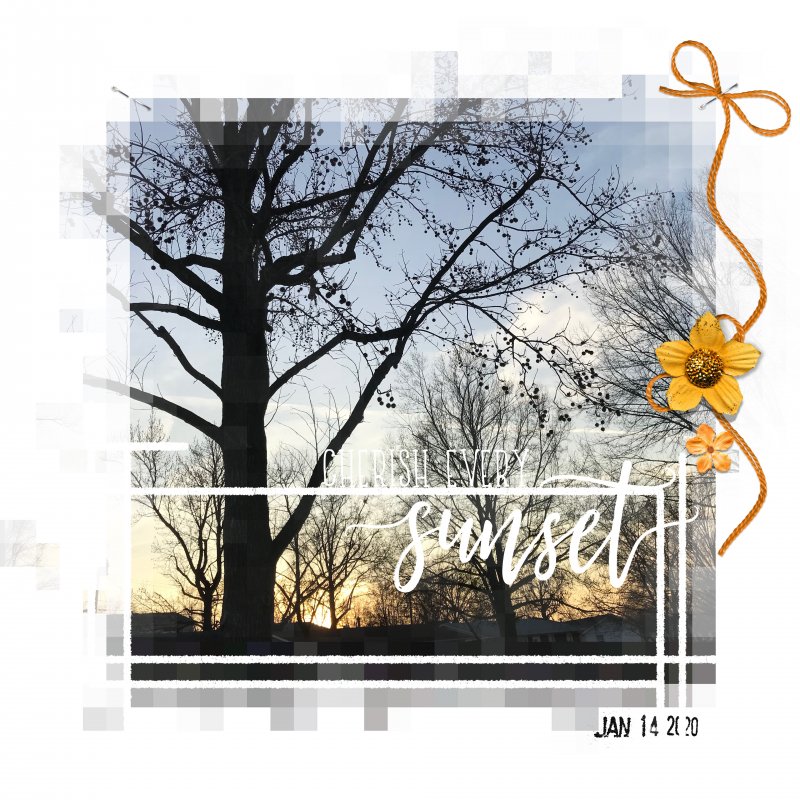 Jan 14 2020 Silhouette Photo
