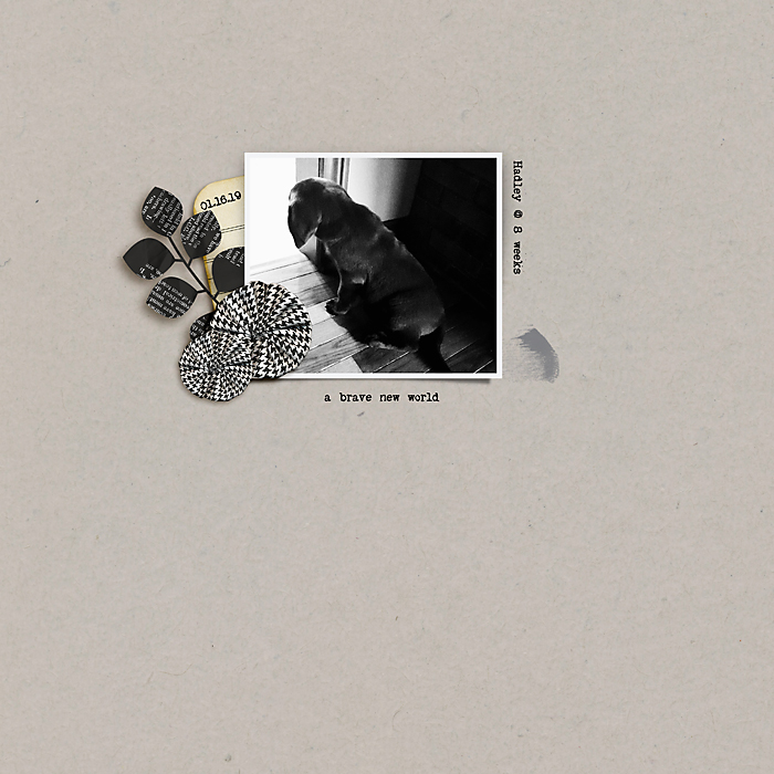 Jan. 14 | Clean & Simple