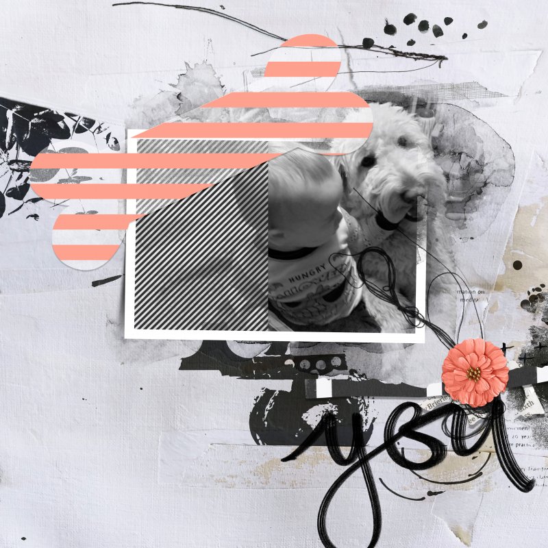 Jan 15 2020 Vellum