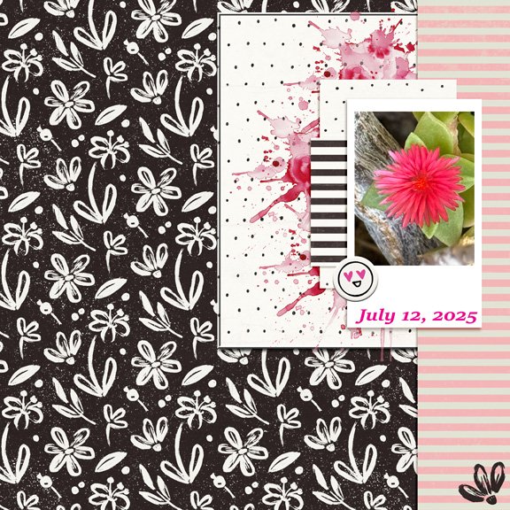 Jan 15 Simple Template 8x8 72.jpg