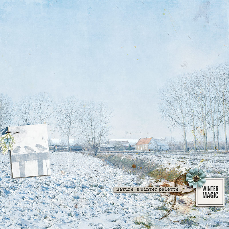 Jan 16: Large Photo
