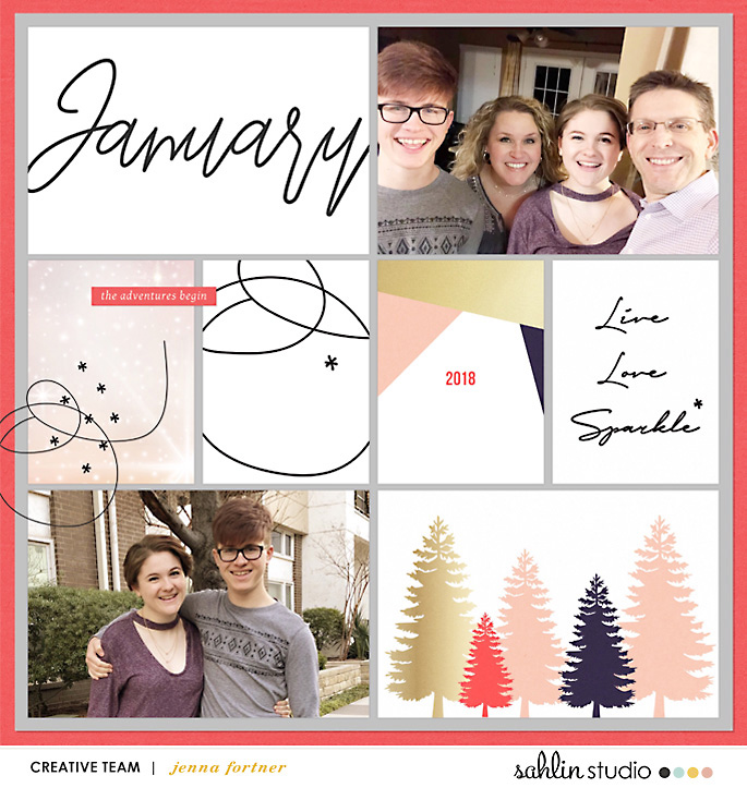 Jan 18 MPM Sparkle