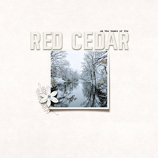 Jan. 19: Red Cedar