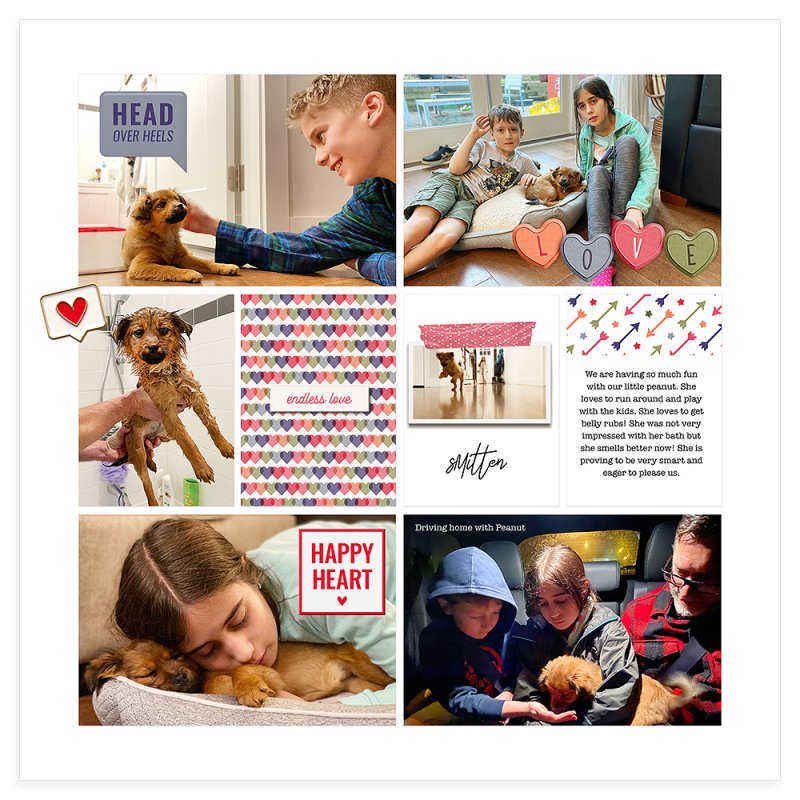 Jan 2021- Peanut