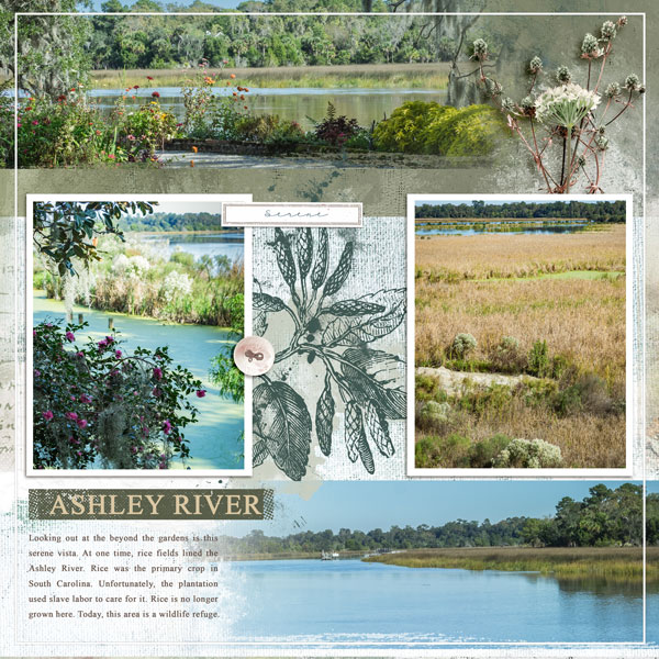 Jan 21: Kit Connections - Ashley River