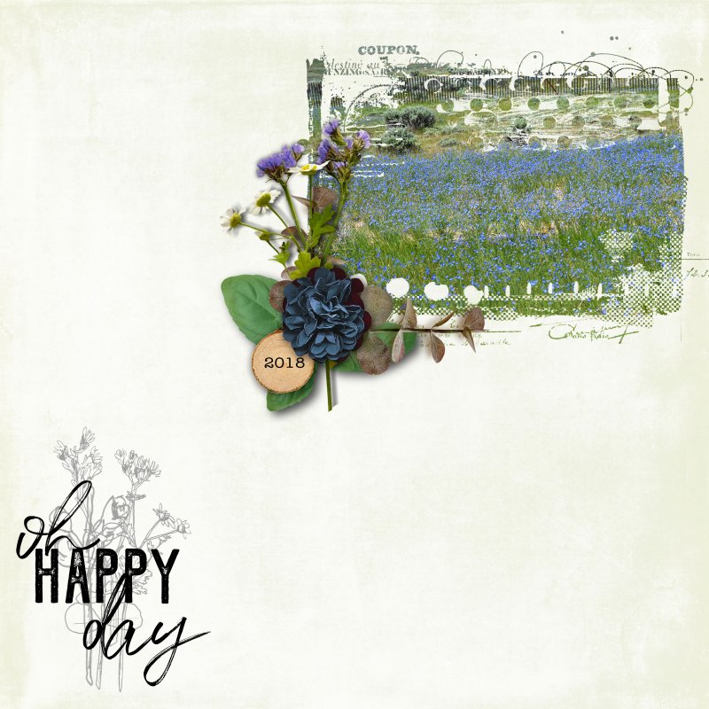 Jan 21 - Organic Botanicals