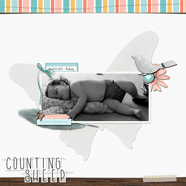 Jan. 29: Counting Sheep