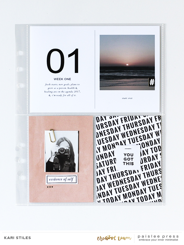 jan intro page