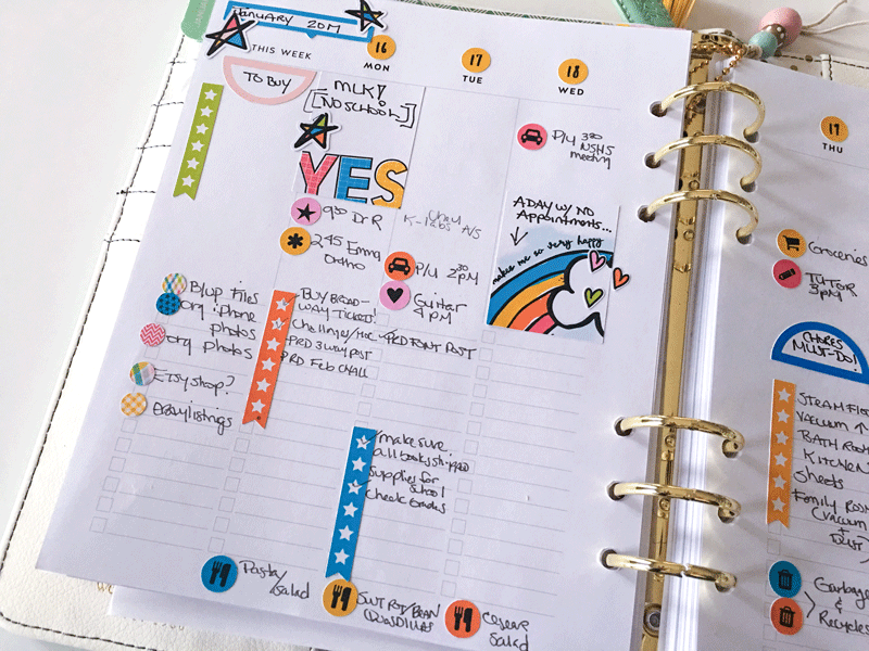 Jan Planner ST 2017 left