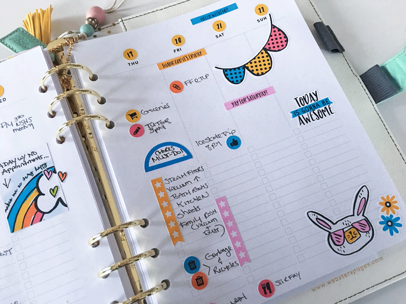 Jan Planner ST 2017 right