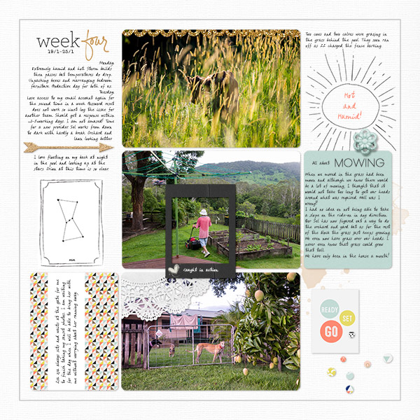 Jan Week 4 a
