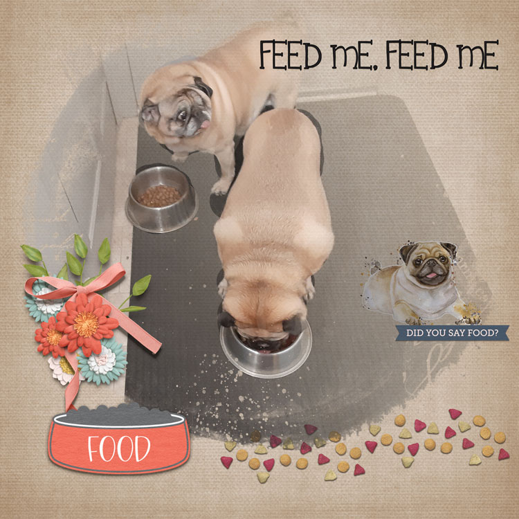 Jan04-feed-me
