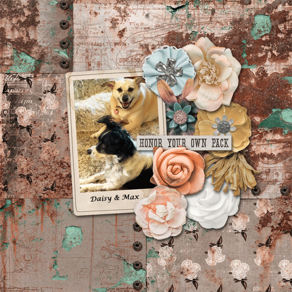 Jan12_Everything-Connected_janisn