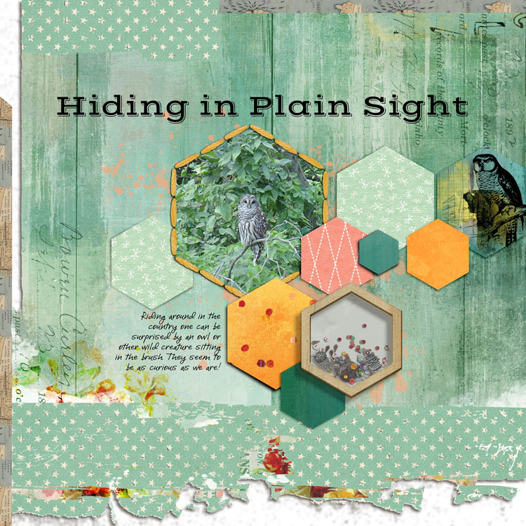 Jan13-hiding