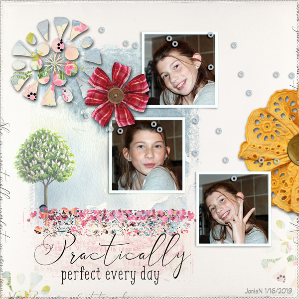 Jan16_SimpleTemplate_PracticallyPerfectEveryDay