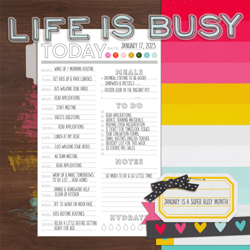 Jan17_Document Your Day