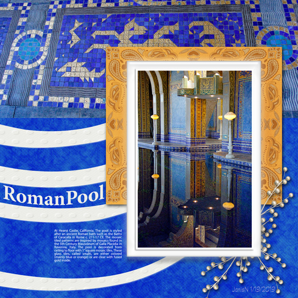 Jan19_PhotographyChallengeReflection_RomanPool