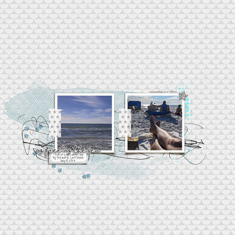 Jan24_MOC12_1_Elements_As Free As The Sea