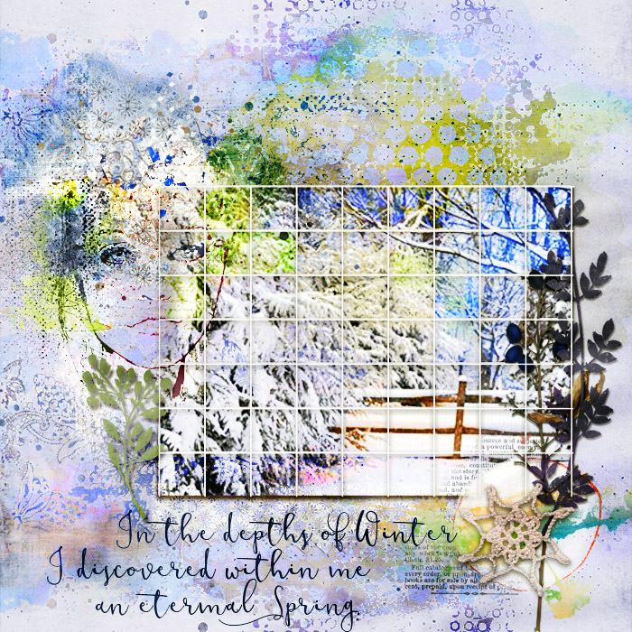 Jan5GridPhoto_Winter
