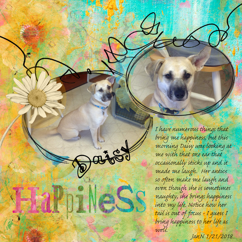 JanNMOC6-21HuntforHappiness