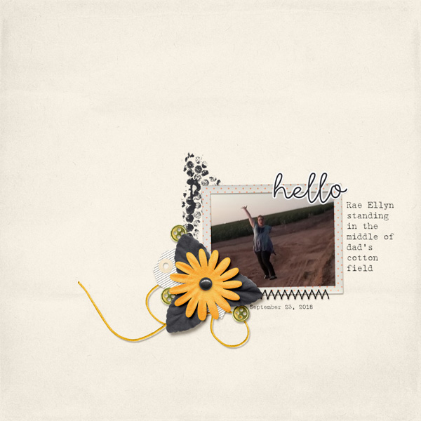 January 1 Blind Scrap