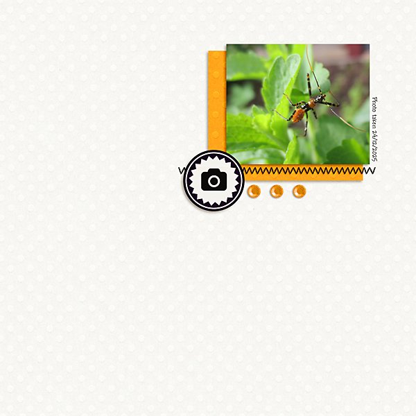 January 1 Clean & Simple - Insect
