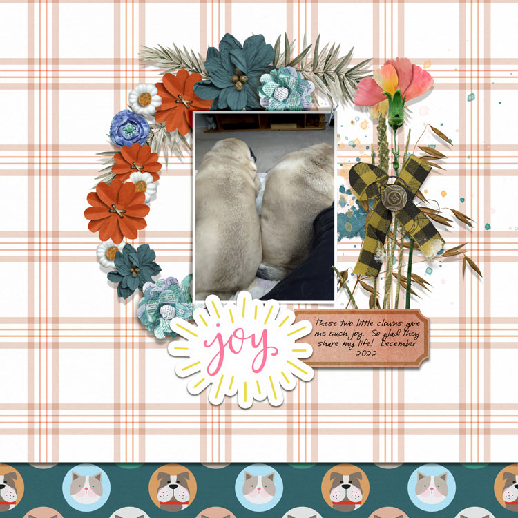 January-1-Joy