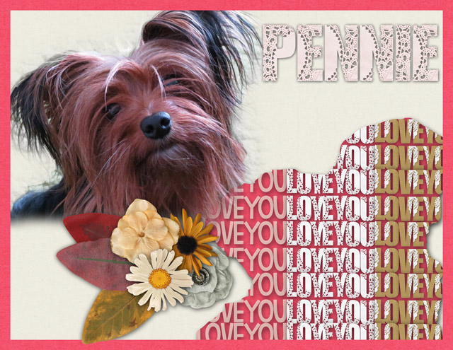 January-10-Shaped-Alpha-Designs-Pennie