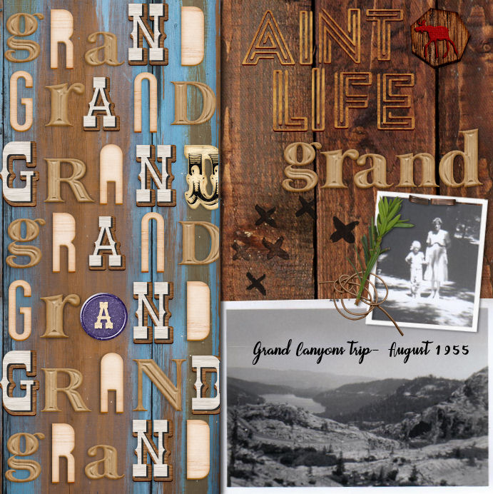 January 10: Shaped Alpha Designs