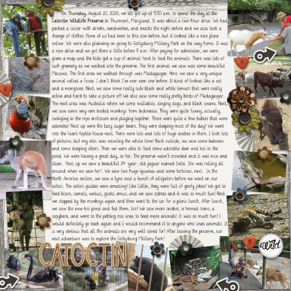 January 11-Tell Me A Story