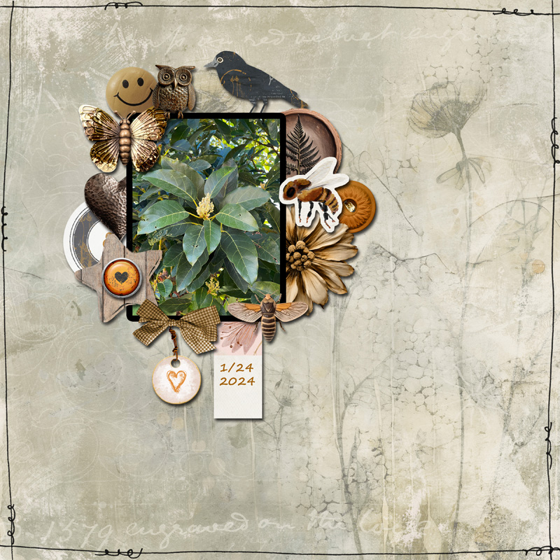 January 12 Everything Connected Resize