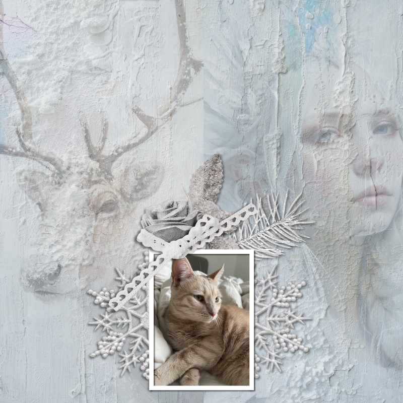 January 12: Everything Connected