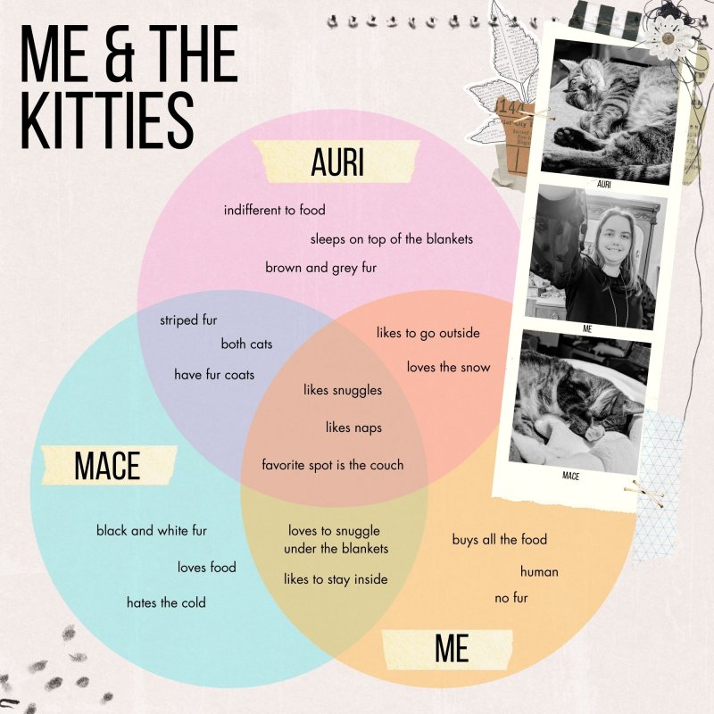 January 13: Venn Diagram